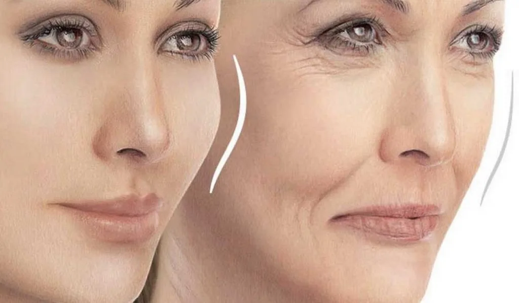 بهترین پزشک تزریق چربی در ایلام